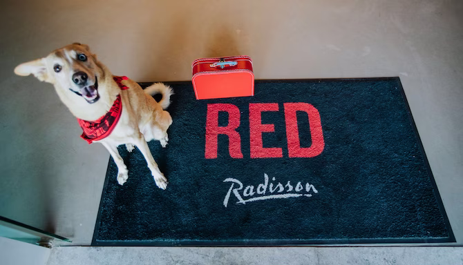 16256-122446-f74626518_3xl